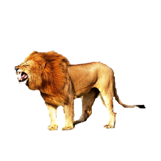 Battle Text Prank-Defend Against Jerks! messages sticker-7