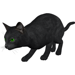 Cat Stickers messages sticker-4