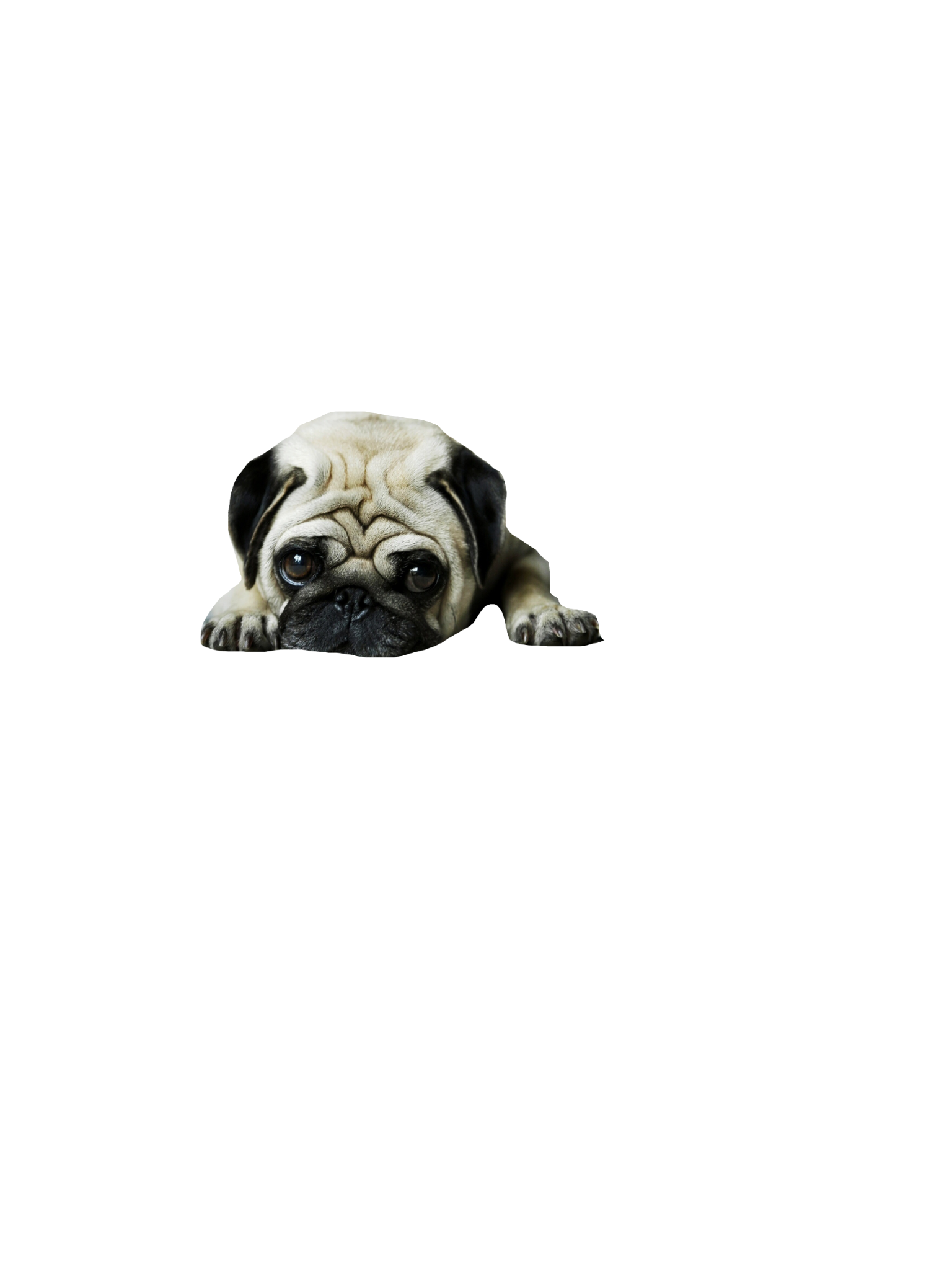EBARKJIS messages sticker-0