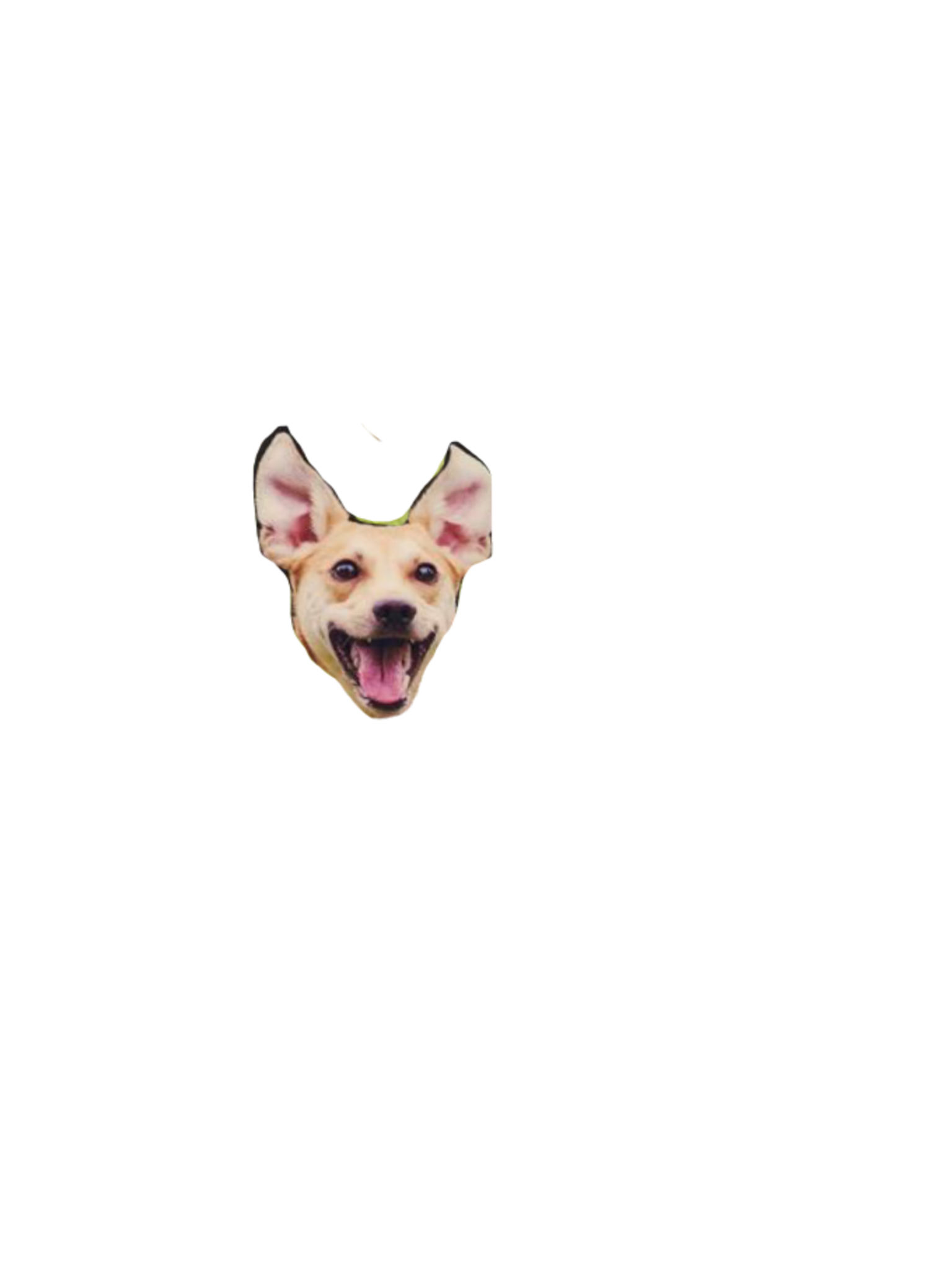 EBARKJIS messages sticker-8