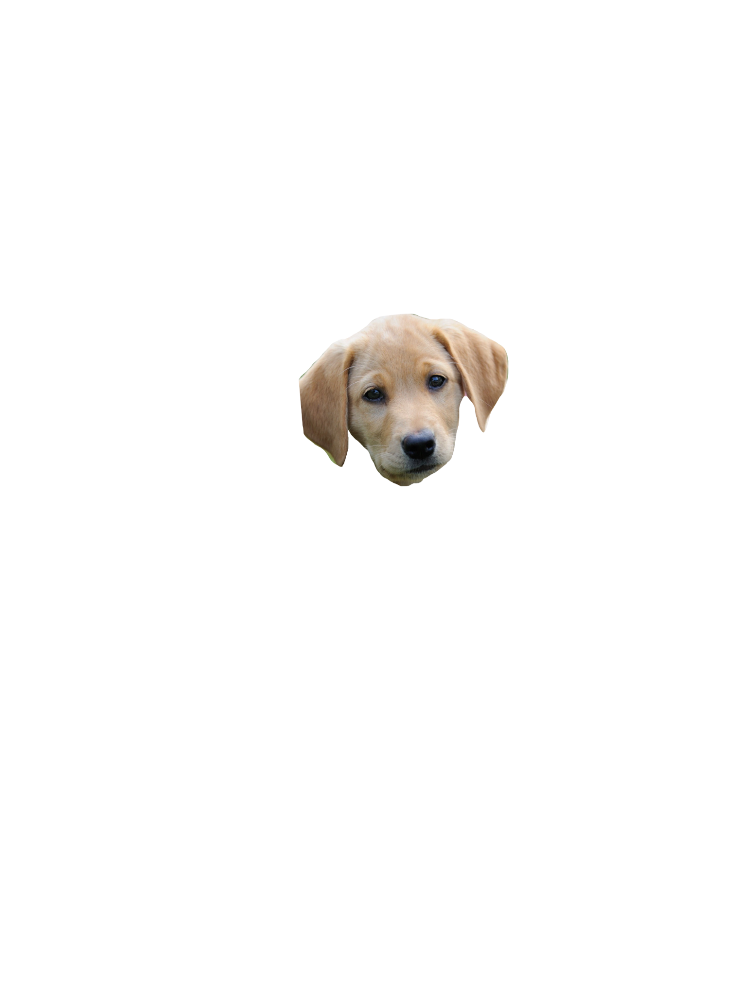 EBARKJIS messages sticker-4