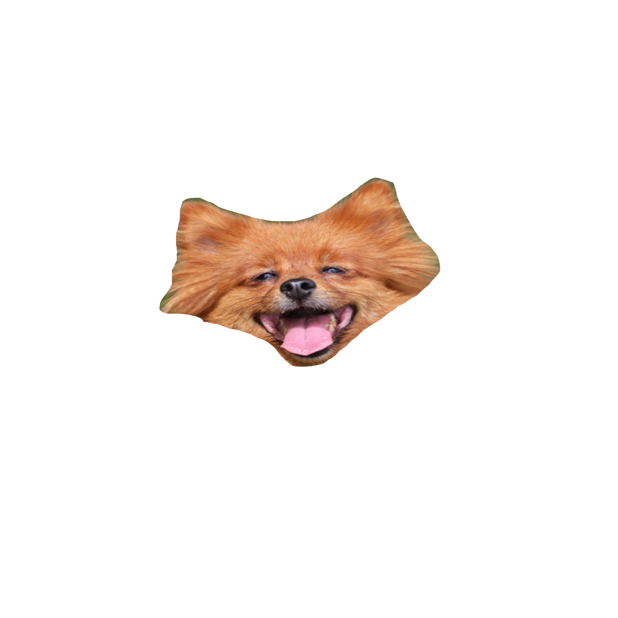 EBARKJIS messages sticker-6