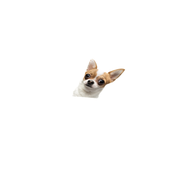 EBARKJIS messages sticker-5