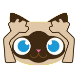 Catmoji - Cat Sticker Pack for Cat Lovers messages sticker-5