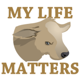 Vegan stickers by Haydar messages sticker-0