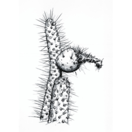 Cactus And Flowers stickers by Weds for iMessage messages sticker-1