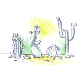 Cactus And Flowers stickers by Weds for iMessage messages sticker-11