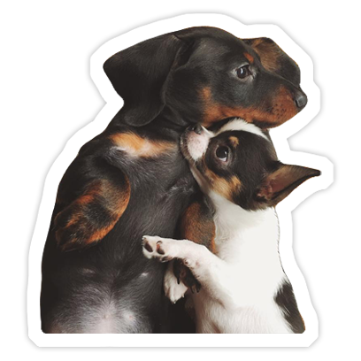 Hotel Jana messages sticker-11