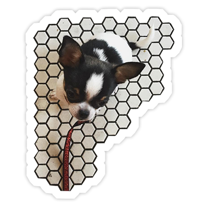Hotel Jana messages sticker-8