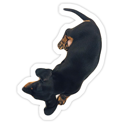 Hotel Jana messages sticker-9