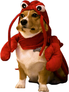 thx internets messages sticker-9