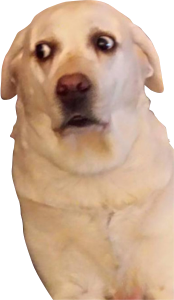 thx internets messages sticker-2