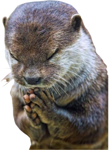 thx internets messages sticker-5