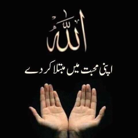 Muslim - Quran, Prayers, More messages sticker-11
