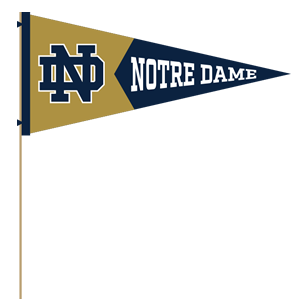 Notre Dame Stickers messages sticker-9
