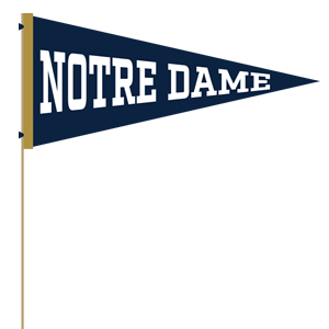 Notre Dame Stickers messages sticker-8