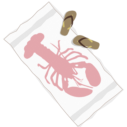 Island Adventure Catalog Stickers messages sticker-11