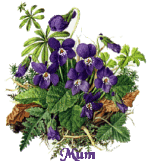 Mother Special - Animated Stickers for iMessage messages sticker-4