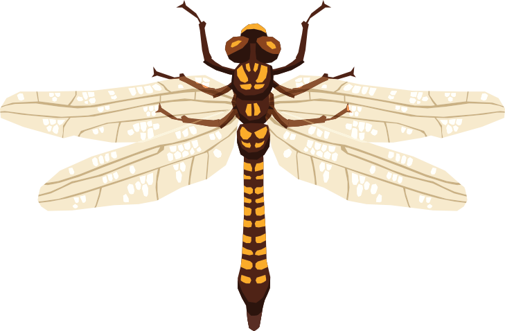 Bugs - Sticker Pack messages sticker-7