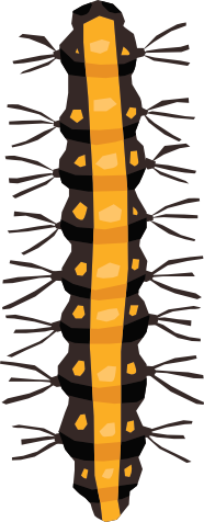 Bugs - Sticker Pack messages sticker-9