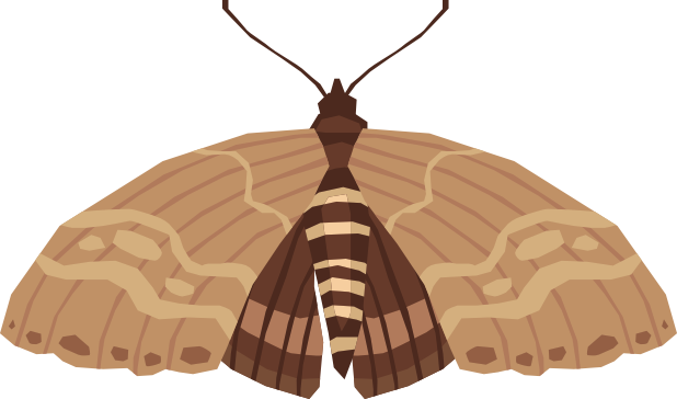 Bugs - Sticker Pack messages sticker-11