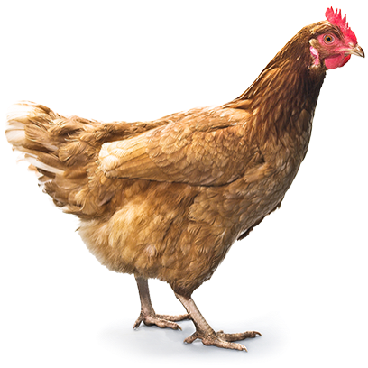 Potatium messages sticker-10