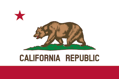 State Flags messages sticker-4