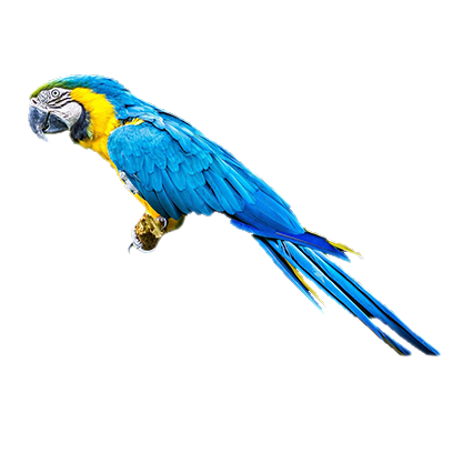 Birds on Furniture messages sticker-9