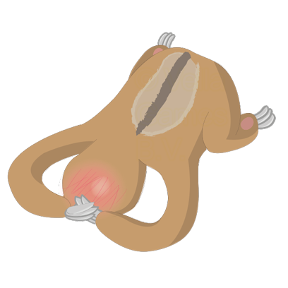 Andy the Sloth - Lazy Stickers messages sticker-9