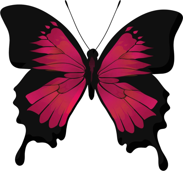 Beautiful Butterfly Sticker Pack messages sticker-6