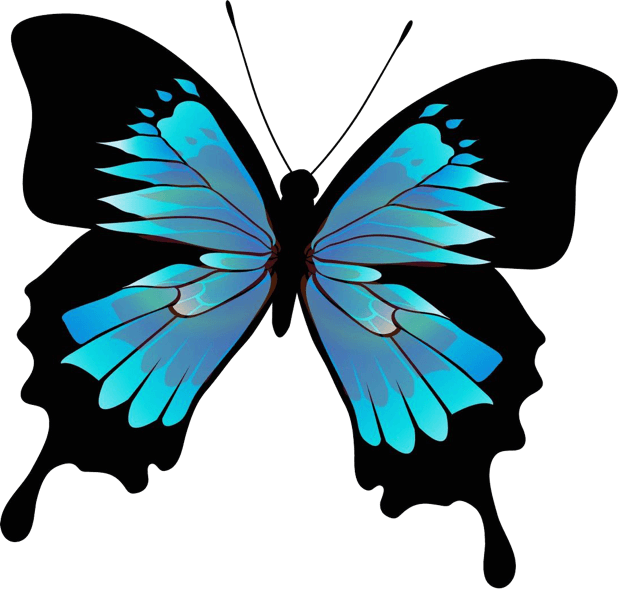 Beautiful Butterfly Sticker Pack messages sticker-11