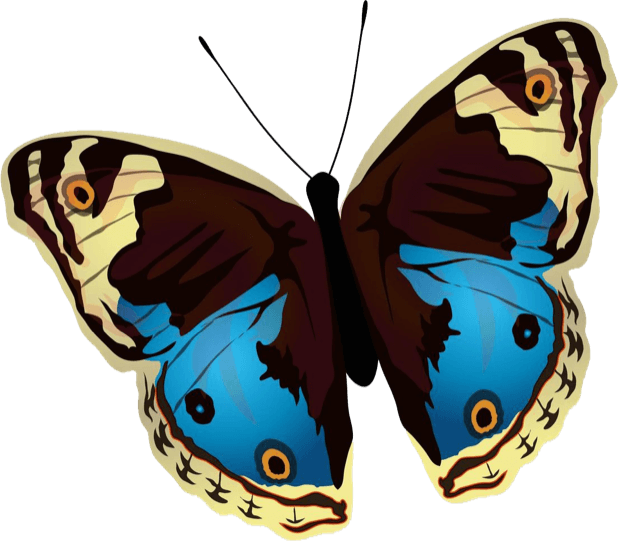 Beautiful Butterfly Sticker Pack messages sticker-10