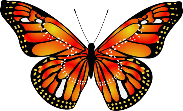 Beautiful Butterfly Sticker Pack messages sticker-8