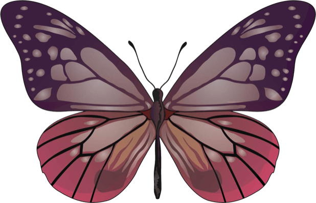 Beautiful Butterfly Sticker Pack messages sticker-5