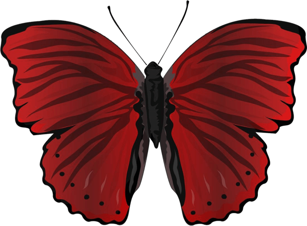 Beautiful Butterfly Sticker Pack messages sticker-7