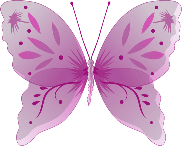Beautiful Butterfly Sticker Pack messages sticker-1