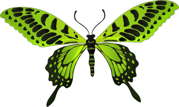 Beautiful Butterfly Sticker Pack messages sticker-0