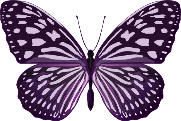 Beautiful Butterfly Sticker Pack messages sticker-2