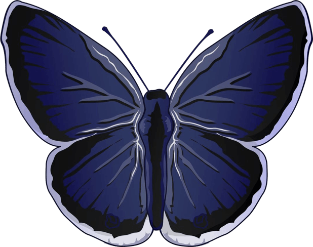 Beautiful Butterfly Sticker Pack messages sticker-3