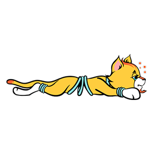 Spring Cat Stickers messages sticker-6