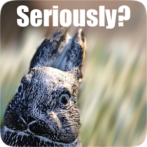 Serious Bunny messages sticker-0