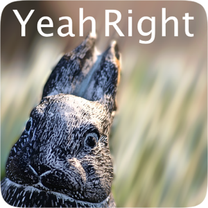 Serious Bunny messages sticker-10