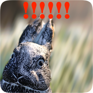 Serious Bunny messages sticker-2