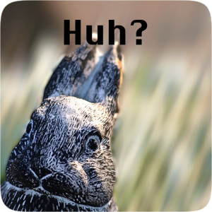 Serious Bunny messages sticker-3