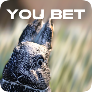 Serious Bunny messages sticker-11