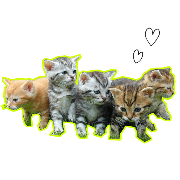 Let's Meow! - Cat Sticker Pack for Cat Lovers! messages sticker-8