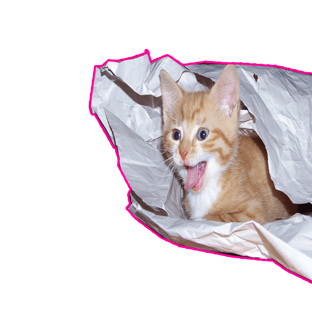 Let's Meow! - Cat Sticker Pack for Cat Lovers! messages sticker-9