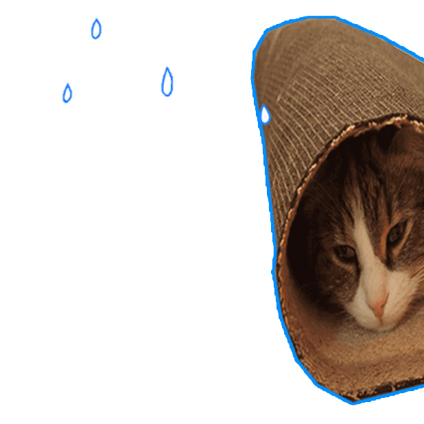 Let's Meow! - Cat Sticker Pack for Cat Lovers! messages sticker-4
