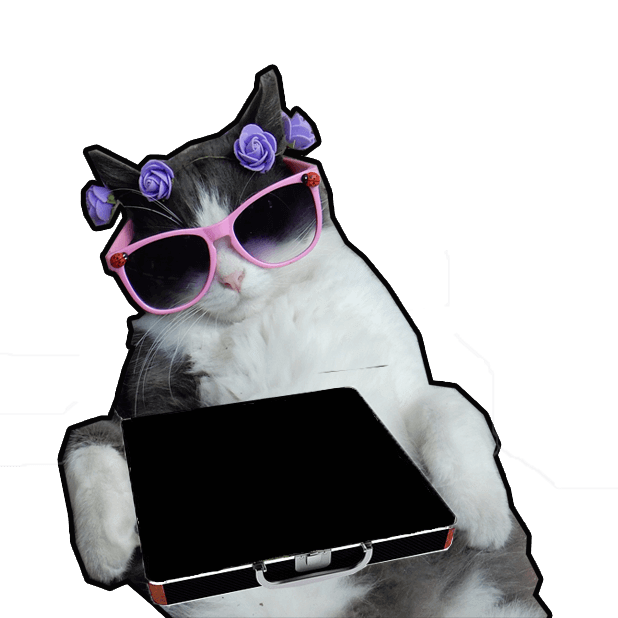 Let's Meow! - Cat Sticker Pack for Cat Lovers! messages sticker-2
