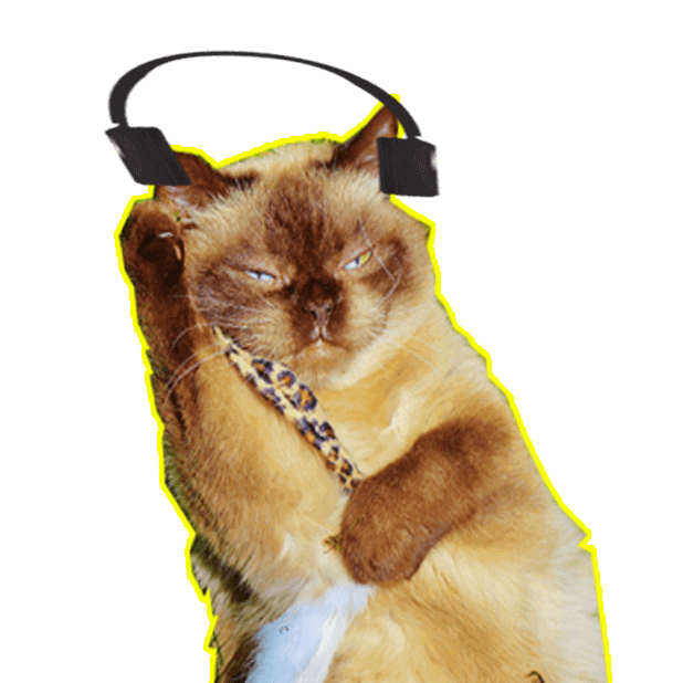 Let's Meow! - Cat Sticker Pack for Cat Lovers! messages sticker-1